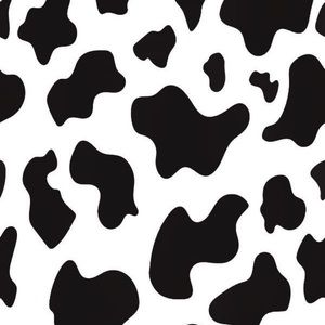 Meet your Posher, Jane